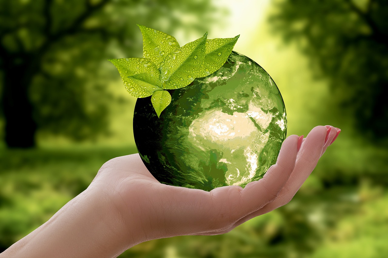 Image d'un site de recyclage