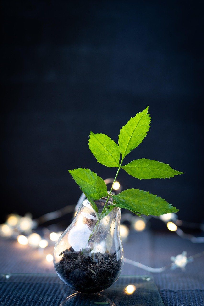 Image d'un site de recyclage